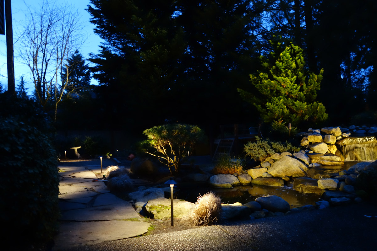 Yard and rock pathway lit by pathway lights